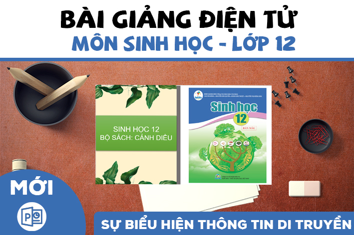 Tác giả uy tín