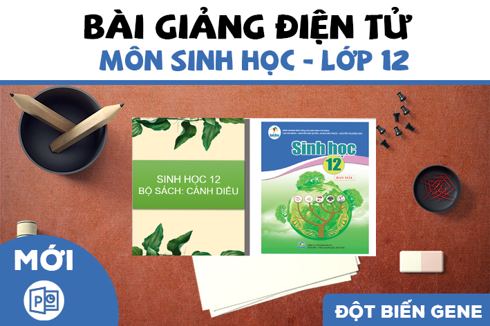 Tác giả uy tín