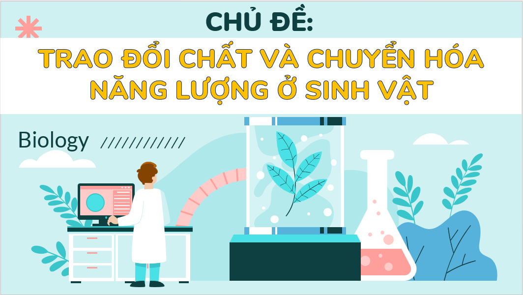Tác giả uy tín