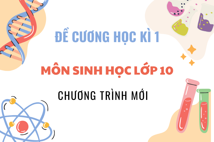 Tác giả uy tín