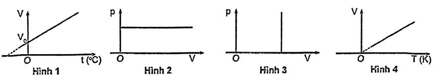 A close-up of a diagram

AI-generated content may be incorrect.