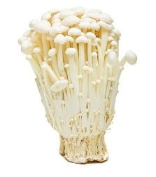 Jual JAMUR ENOKI / ENOKITAKE 100gr/pack | Shopee Indonesia