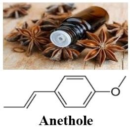 Ảnh c&oacute; chứa gia vị, thiết kế  M&ocirc; tả được tạo tự động