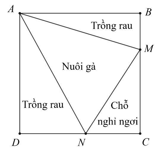 A diagram of a triangle

AI-generated content may be incorrect.